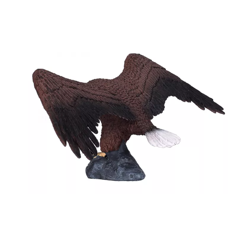 Águila calva americana