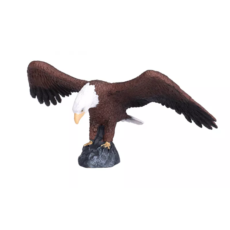 Águila calva americana