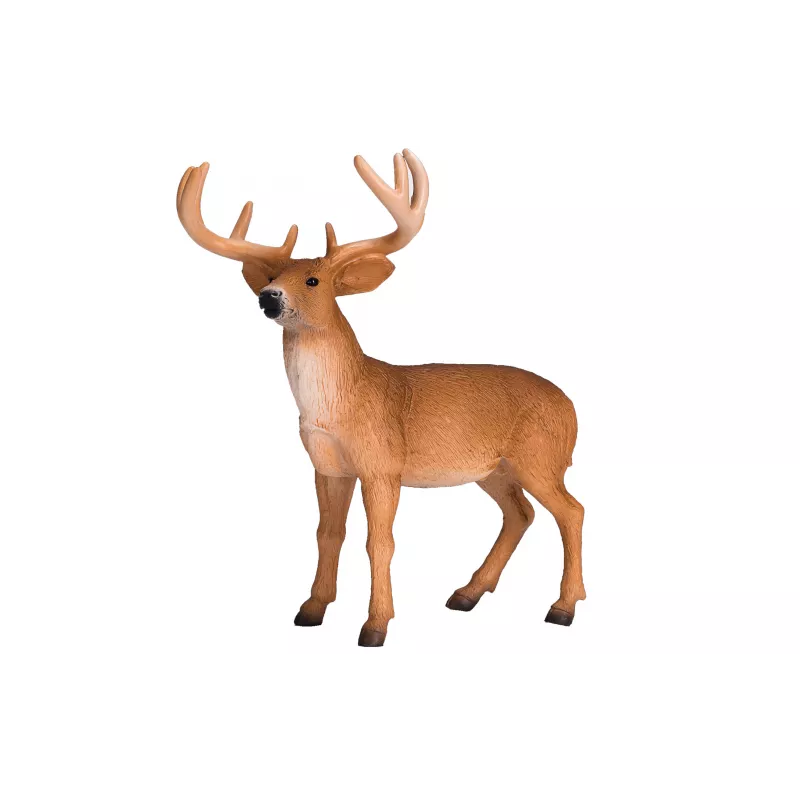 Venado de cola blanca