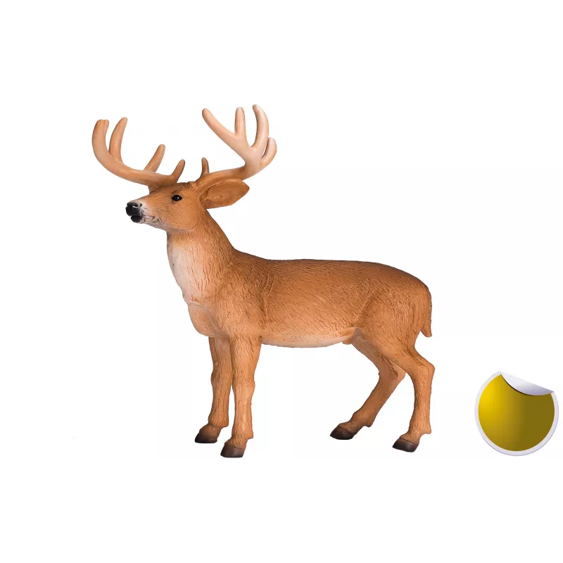 Venado de cola blanca