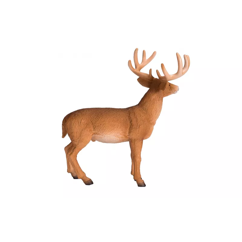 Venado de cola blanca