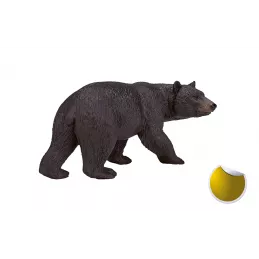 Oso negro americano