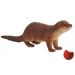 Nutria