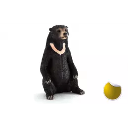 Oso sentado