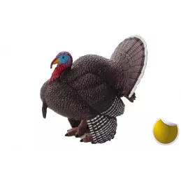 Pavo Macho