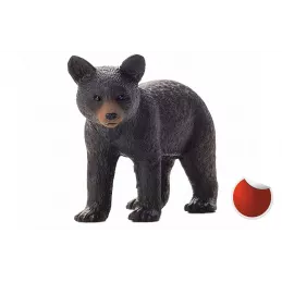Cachorro de oso negro