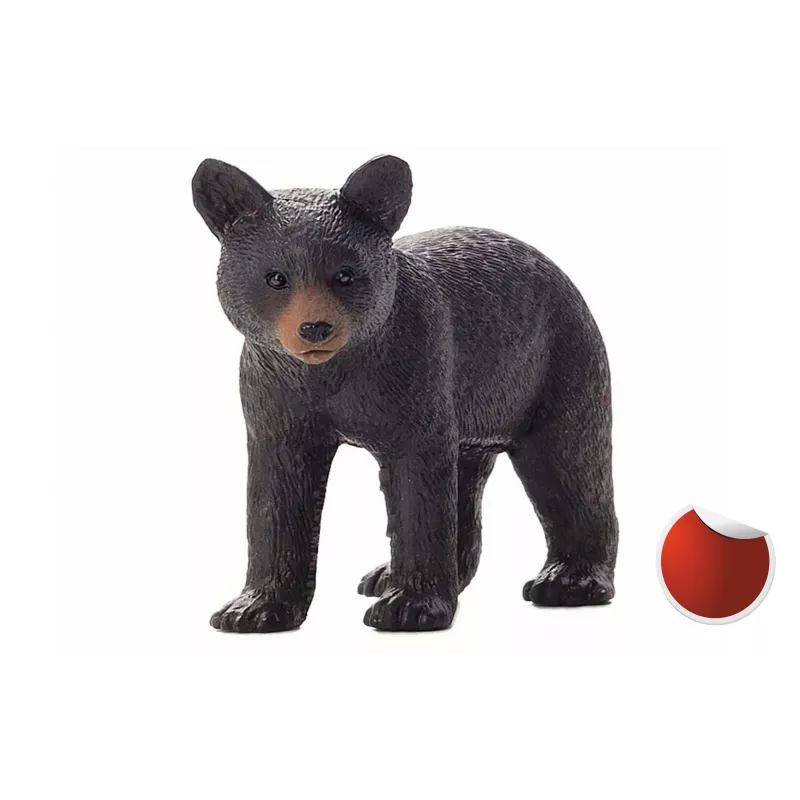 Cachorro de oso negro