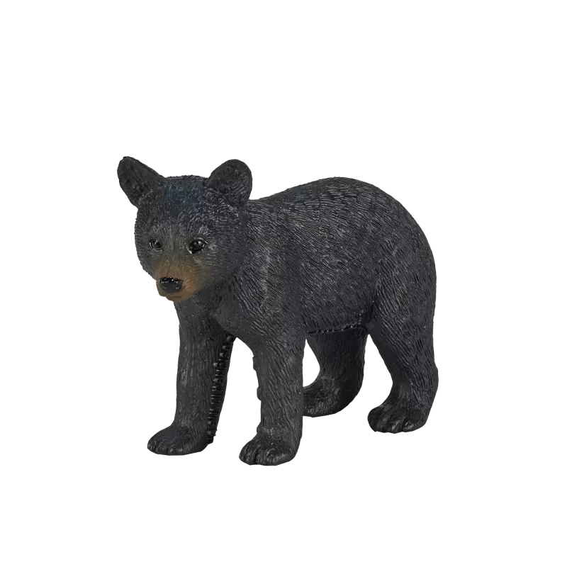 Cachorro de oso negro