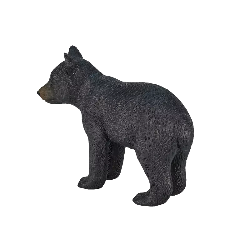 Cachorro de oso negro