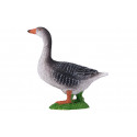 Ganso Gris