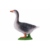 Ganso Gris