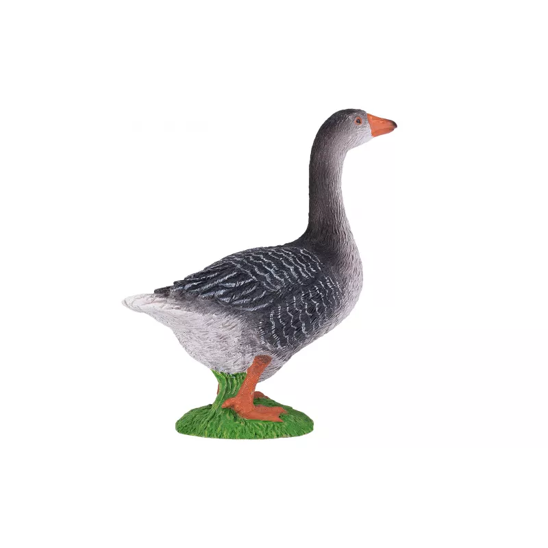 Ganso Gris