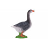 Ganso Gris