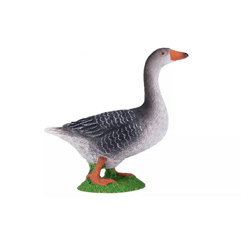 Ganso Gris
