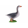 Ganso Gris
