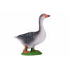 Ganso Gris