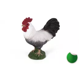 Gallo