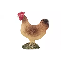 Gallina