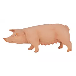 cerda