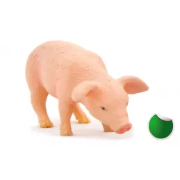Cerdito comiendo