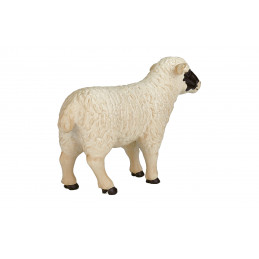 Oveja de cabeza negra