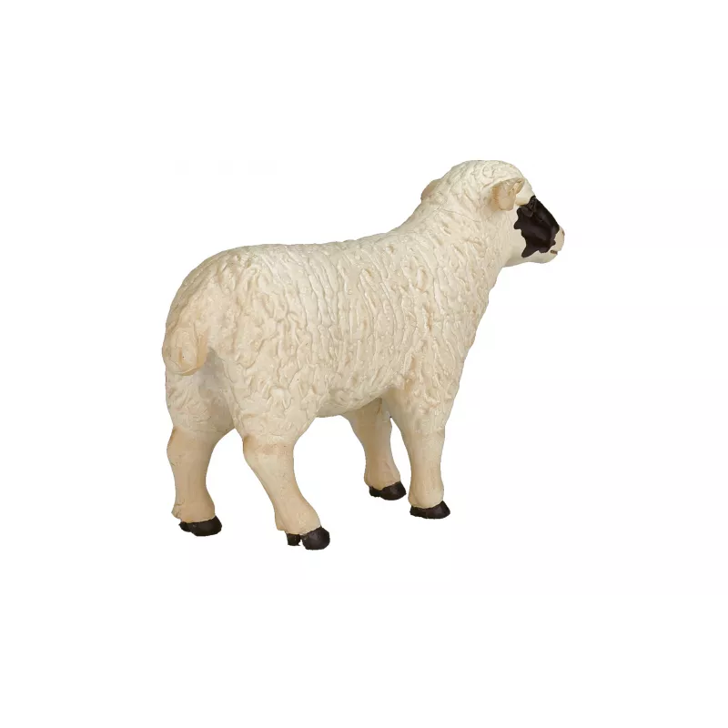 Oveja de cabeza negra