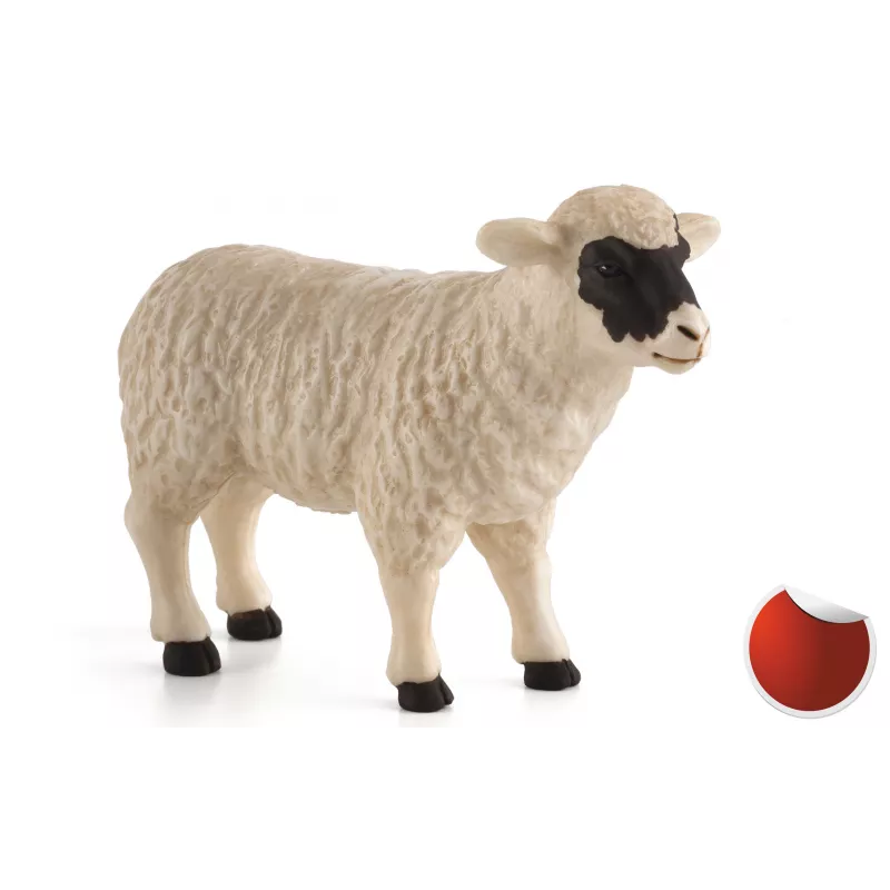 Oveja de cabeza negra