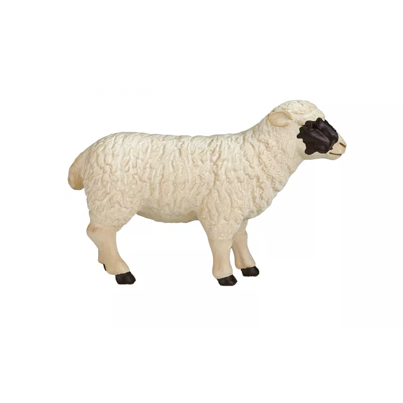 Oveja de cabeza negra