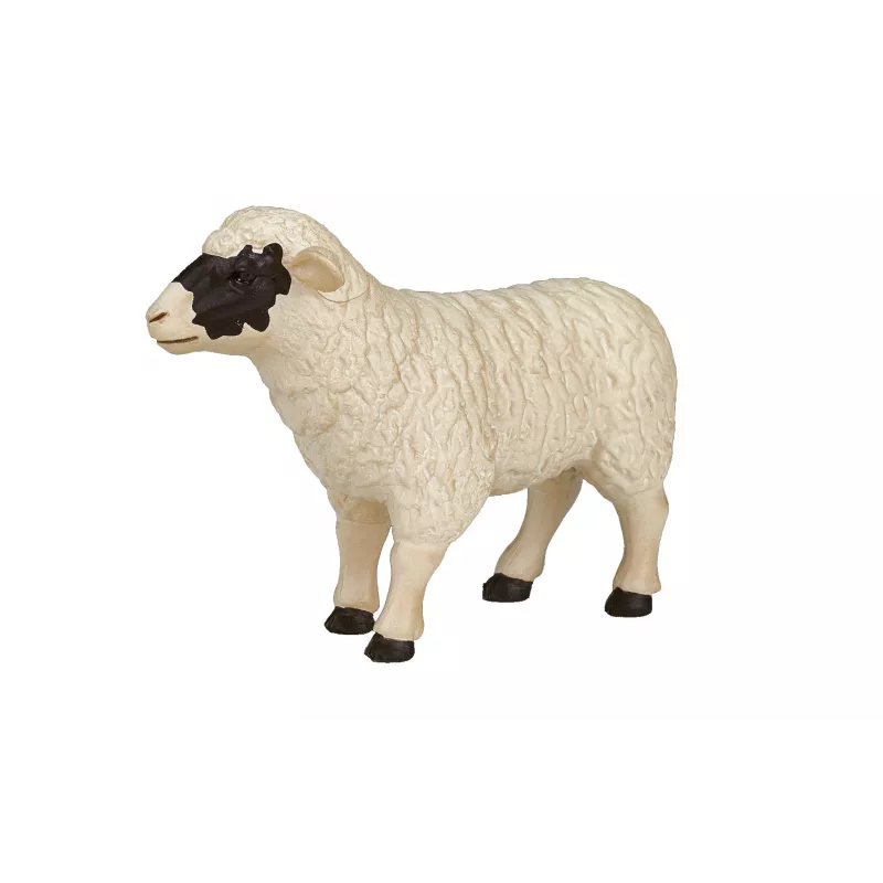 Oveja de cabeza negra