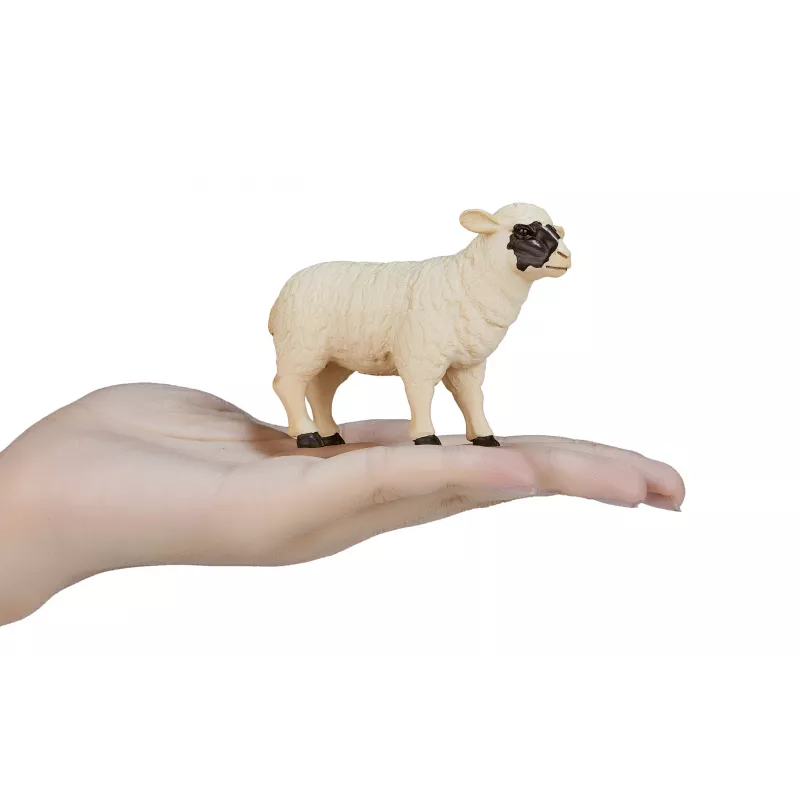 Oveja de cabeza negra