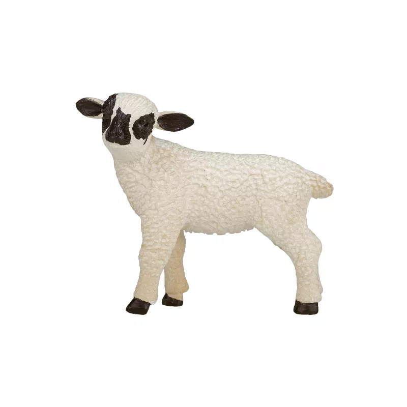 Cordero Oveja Cabeza Negra