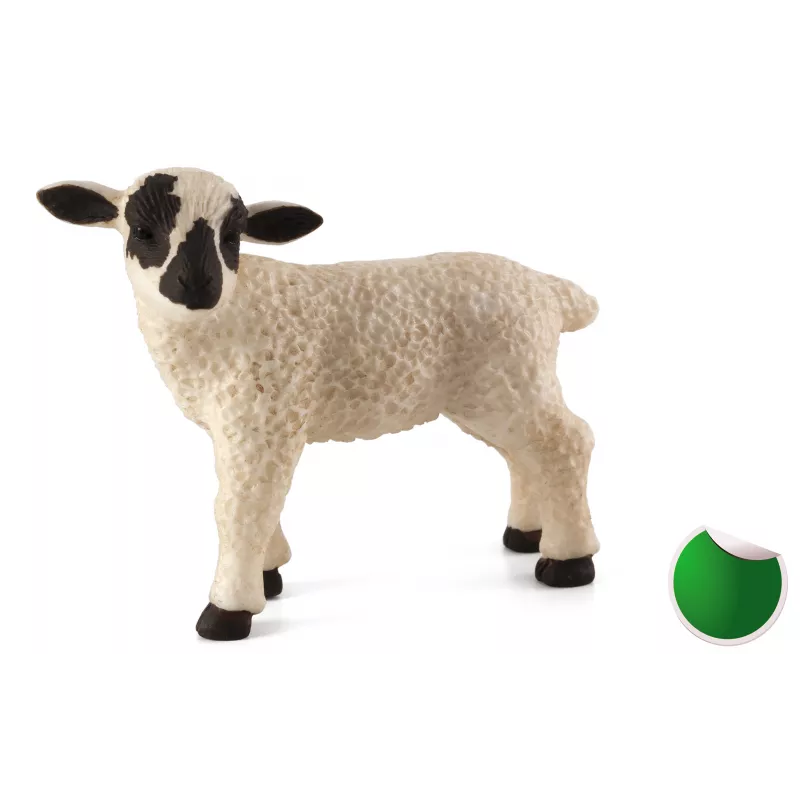 Cordero Oveja Cabeza Negra