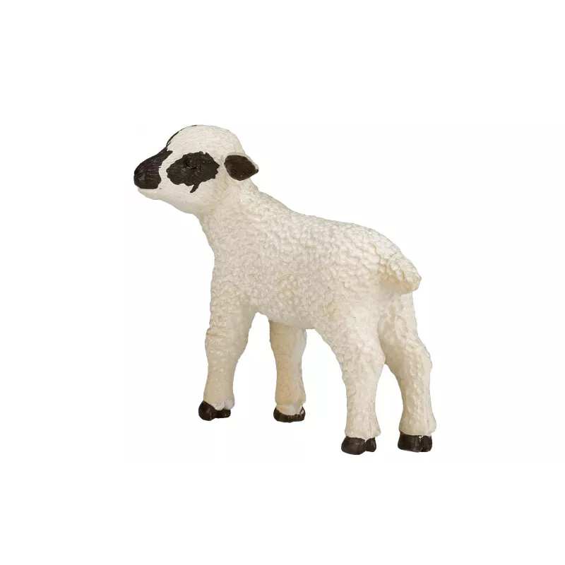 Cordero Oveja Cabeza Negra