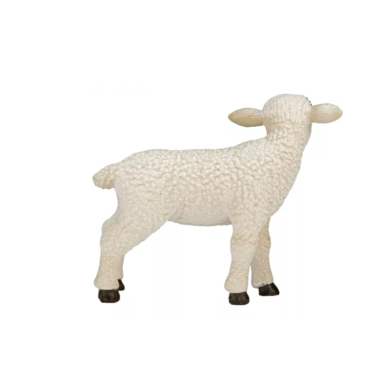 Cordero Oveja Cabeza Negra