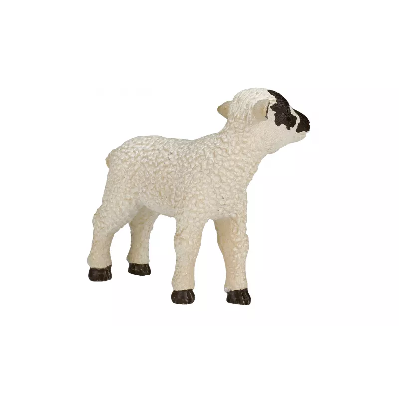 Cordero Oveja Cabeza Negra