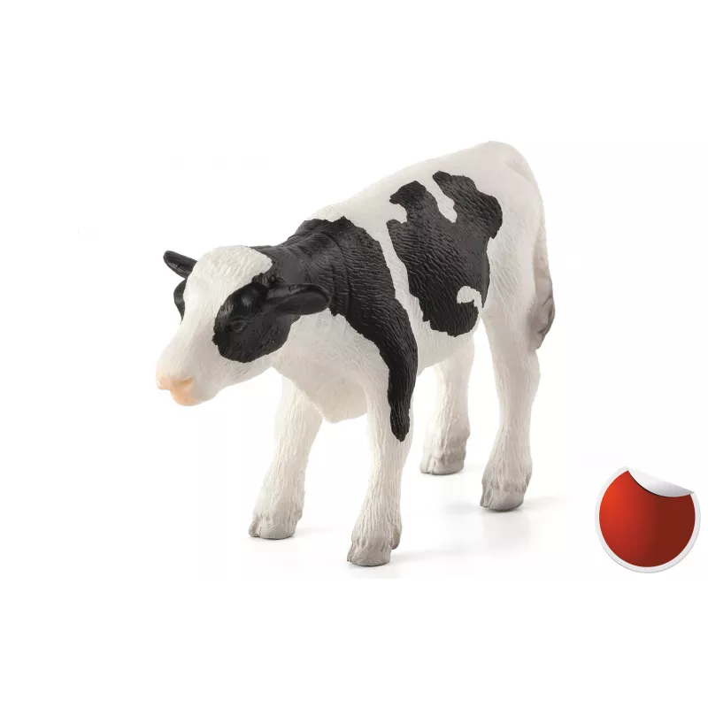 Ternero Holstein de pie