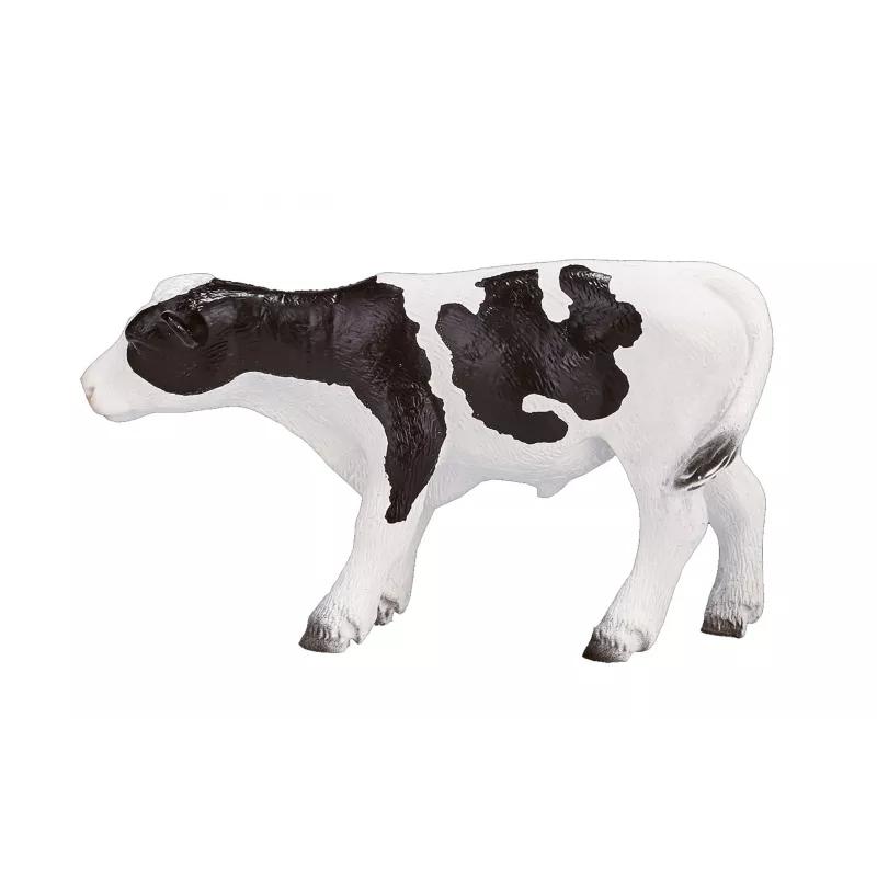 Ternero Holstein de pie