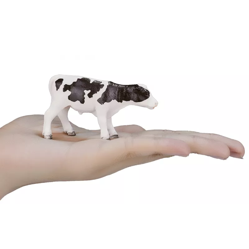 Ternero Holstein de pie