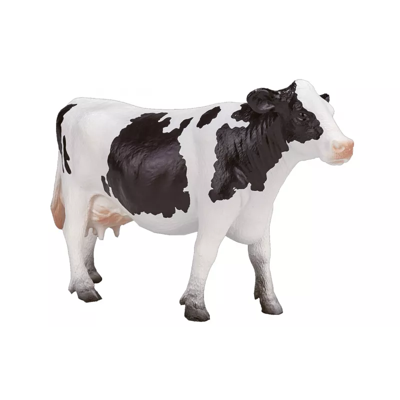 Vaca Holstein