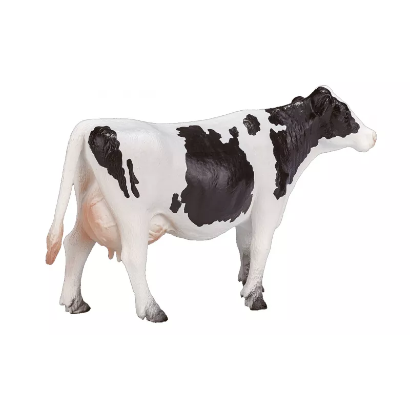 Vaca Holstein
