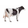 Vaca Holstein