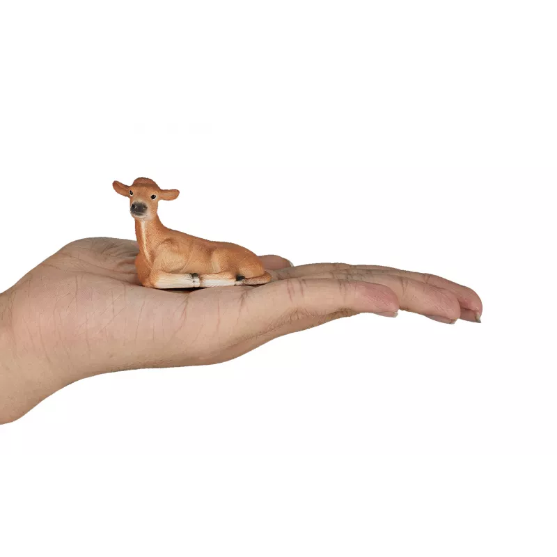 ternero acostado Jersey