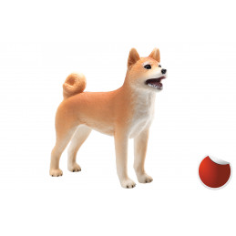 Shiba Inu
