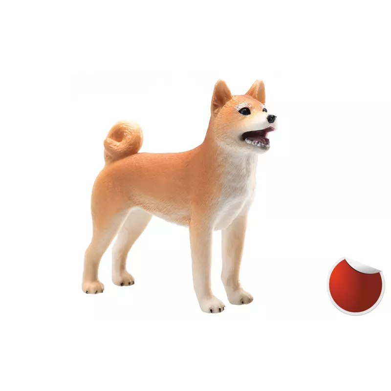 Shiba Inu