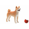 Shiba Inu