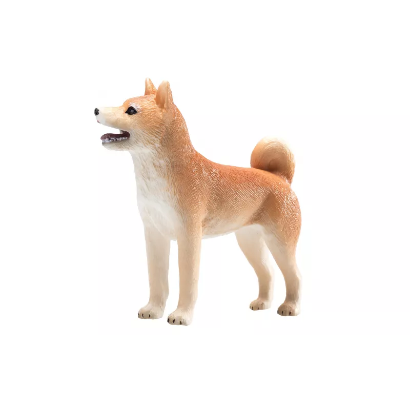 Shiba Inu