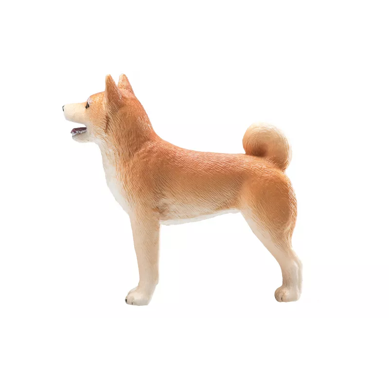 Shiba Inu