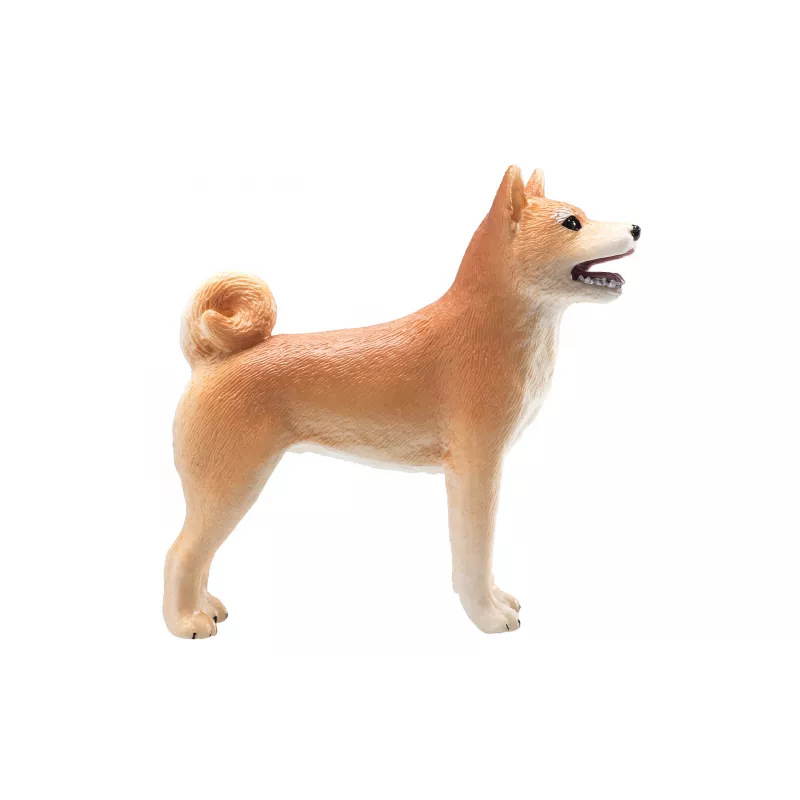 Shiba Inu
