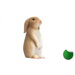 Conejo Sentado