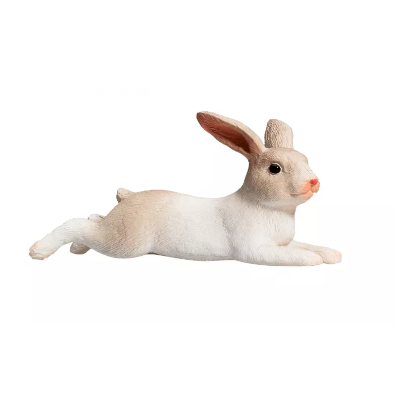Conejo Acostado